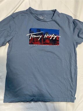 Tommy Hilfiger Light Blue Graphic Logo Tee with Red Accent